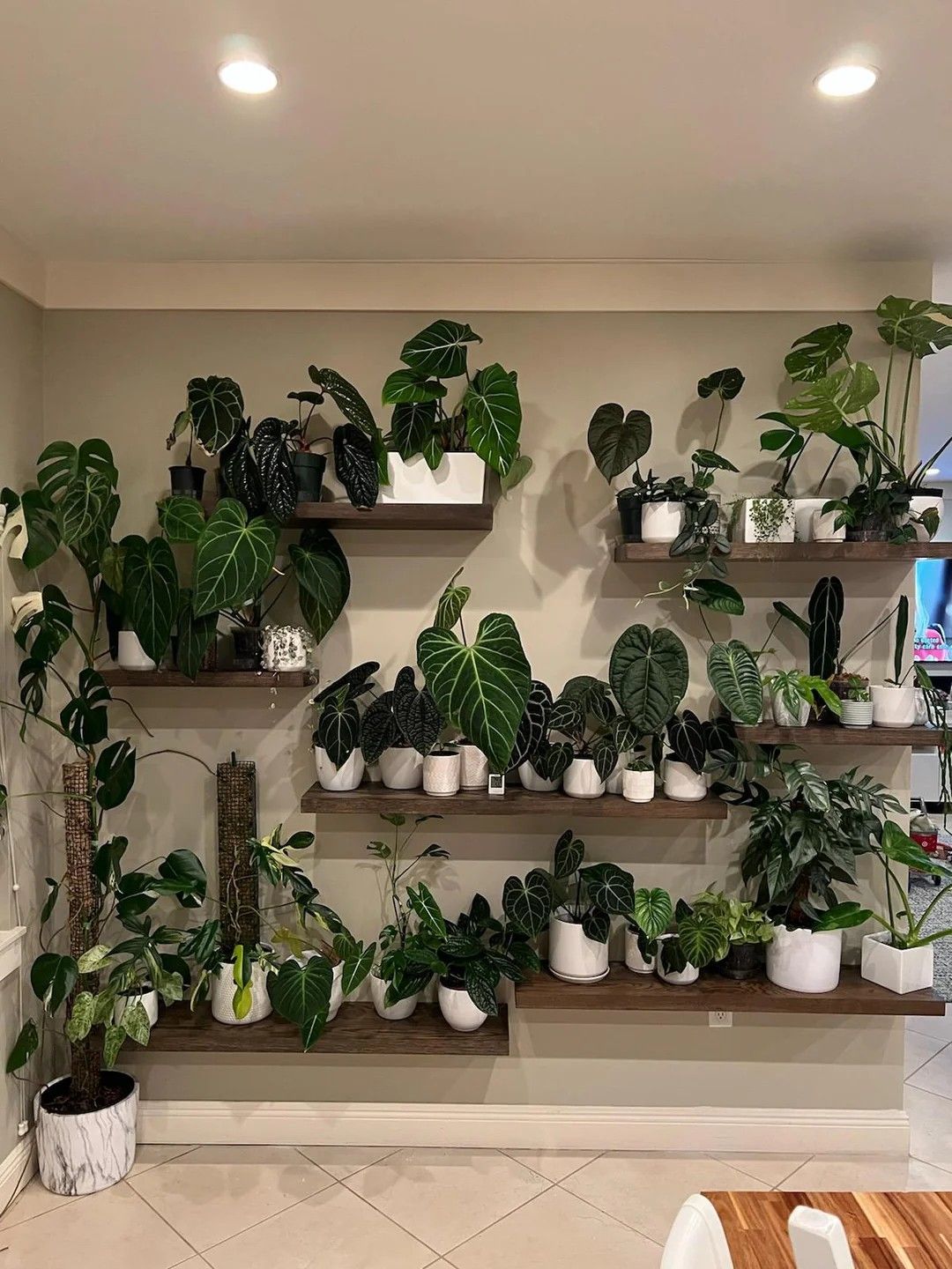 Shelf display